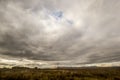 Dreamy sky with dramatic clouds