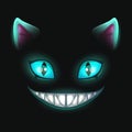 Fantasy scary smiling cat face on black background. Royalty Free Stock Photo