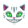 Fantasy scary smiling cat face Royalty Free Stock Photo