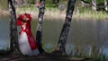 fantasy shot with lady dressed red and white gorgeous gown at nature, medieval fairy female character Royalty Free Stock Photo