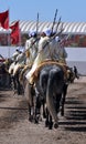 Performance of the traditional Fantasia in Morocco Royalty Free Stock Photo