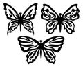 Fantasy silhouettes of butterflies with simple white patterns on the wings. Insect.