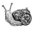 Fantasy sketch of snail Royalty Free Stock Photo