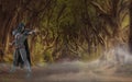 Fantasy sorcerer in foggy forest landscape.