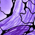 Fantasy Topography. Lilac Imaginary Topographic