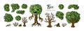 Fantasy trees constructor set. Trees, leaves and branches elements for design