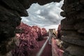 Fantasy view of medieval casle in Estonia