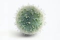 Fantasy virus of the coronavirus COVID-19 mutation