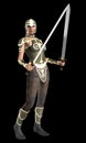 Fantasy warrior armed with two swords, 3d illustration