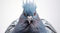 Fantasy Wildlife Photography: Blue Pigeon With Clever Humor