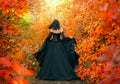 Fantasy woman runs in autumn magic forest back rear view Long gothic black silk dress flies in wind lady witch art old Royalty Free Stock Photo