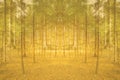 Fantasy wood abstract green collage background