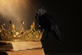 Fantasy world. Black crow lit by magic light sitting on golden crown