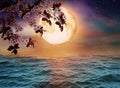 Fantasy world. Blossoming cherry tree branch and full moon in starry sky Royalty Free Stock Photo