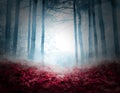 Fantasy world. Creepy foggy forest with fallen red leaves Royalty Free Stock Photo