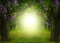 Fantasy world. Enchanted forest with beautiful butterflies, magic lights and sunlit way between trees Royalty Free Stock Photo