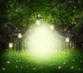 Fantasy world. Enchanted forest with magic lights, beautiful butterflies and way between trees Royalty Free Stock Photo