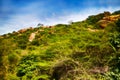 Fantasy world. Fabulous unusual mountain landscape