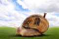 Fantasy world. Magic snail with its shell house moving on green meadow Royalty Free Stock Photo