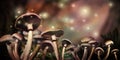 Fantasy world. Mushrooms with magic lights in enchanted forest, banner design Royalty Free Stock Photo