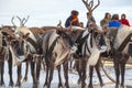 Far North, Yamal Peninsula, Reindeer Herder`s Day, local residents in national clothes of Nenets