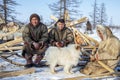 Far north of Yamal, tundra, pasture nord reindeers, family of reindeer herders of the north, father with two sons and a dog