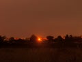 A far off street lamp over a field and treetops and houses at th Royalty Free Stock Photo