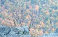 Foliage from atop Little Stony Man Cliffs, Shenandoah National Park, Virginia