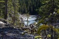 Far shot of a trail of water, through trees. Royalty Free Stock Photo