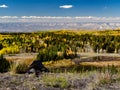 Far View of Bookcliffs and Aspen from Grand Mesa Royalty Free Stock Photo