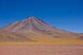 Far view of lama or guanaco in Atacama in front of mountain Royalty Free Stock Photo