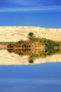 Farafra oasis Royalty Free Stock Photo
