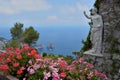 Faraglioni rocks Capri, Italy Royalty Free Stock Photo
