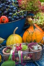 Colorful harvest time in the garden Royalty Free Stock Photo