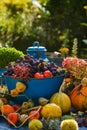 Colorful harvest time in the garden Royalty Free Stock Photo