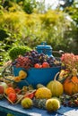 Colorful harvest time in the garden