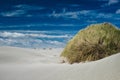 Farewell Spit sand dune Royalty Free Stock Photo