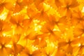 Farfalle pasta Royalty Free Stock Photo