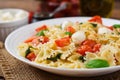 Farfalle Pasta - Caprese salad Royalty Free Stock Photo