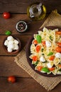 Farfalle Pasta - Caprese salad Royalty Free Stock Photo