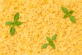 Farfalle pasta decorated with basil leaves