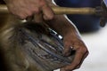 Fariery - Horse shoeing at an Amish shop Royalty Free Stock Photo