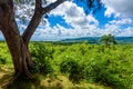 Farley Hill National Park on the Caribbean island of Barbados. It is a paradise destination with a white sand beach and turquoiuse