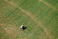 Aerial view of a long arm spreader spraying farm crops.