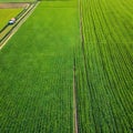 Farm agricultural beautiful Nature photorealistic top view horizontal