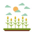 Farm and agriculture design