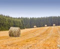 Farm, agriculture and landscape, nature and hay bales with environment and farming location in Denmark. Fresh air Royalty Free Stock Photo