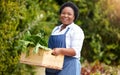 Farm, agriculture and portrait of black woman with basket of vegetables, harvest and fresh produce. Farming