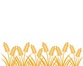 farm agriculture wheat crop vector background illustration design Royalty Free Stock Photo