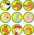 Farm animal cartoon collection Royalty Free Stock Photo